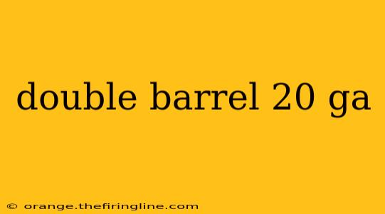 double barrel 20 ga