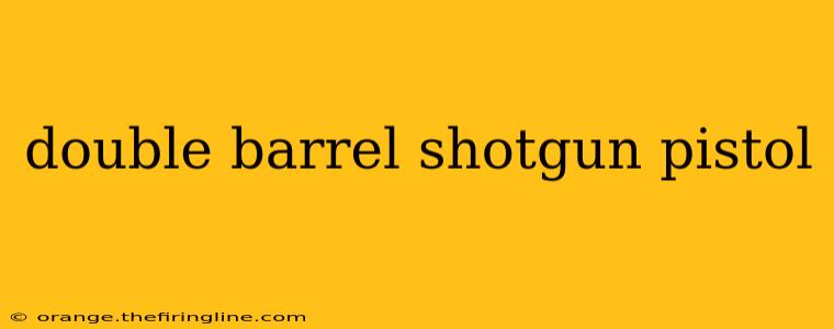 double barrel shotgun pistol