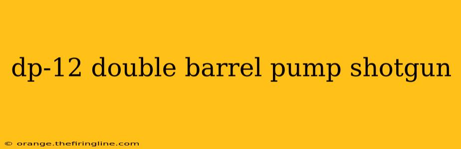 dp-12 double barrel pump shotgun