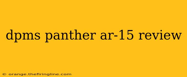 dpms panther ar-15 review