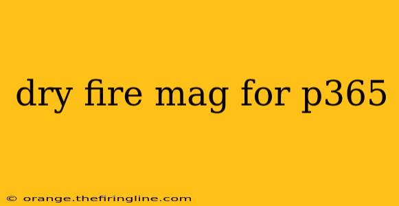 dry fire mag for p365