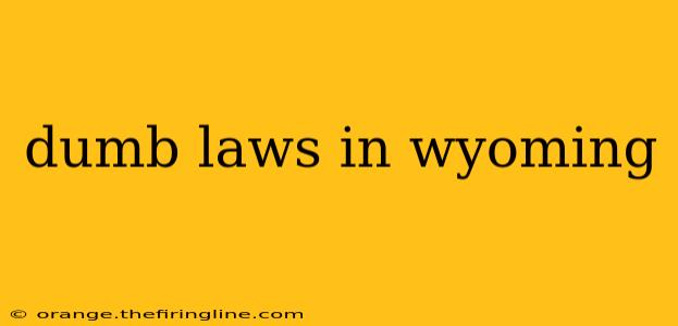 dumb laws in wyoming