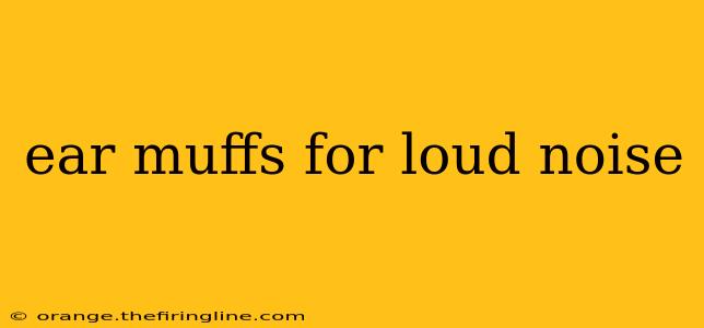 ear muffs for loud noise