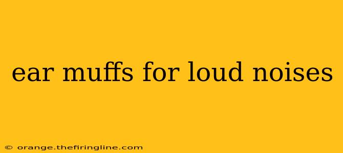 ear muffs for loud noises