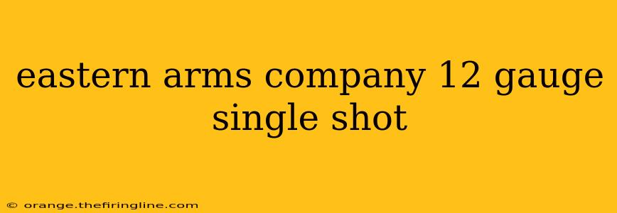 eastern arms company 12 gauge single shot