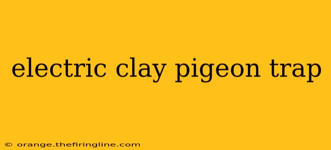 electric clay pigeon trap