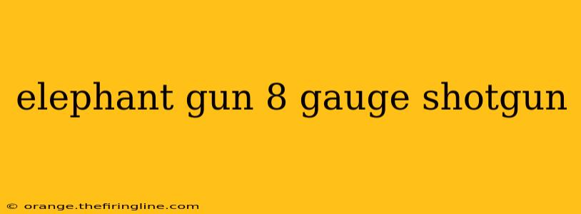 elephant gun 8 gauge shotgun