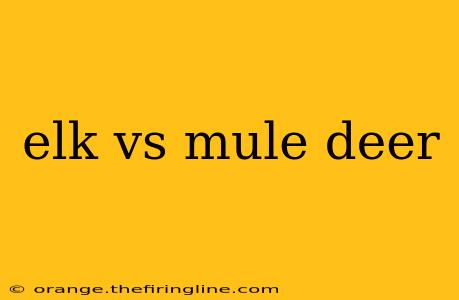 elk vs mule deer