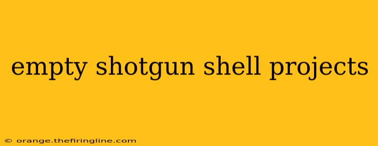 empty shotgun shell projects