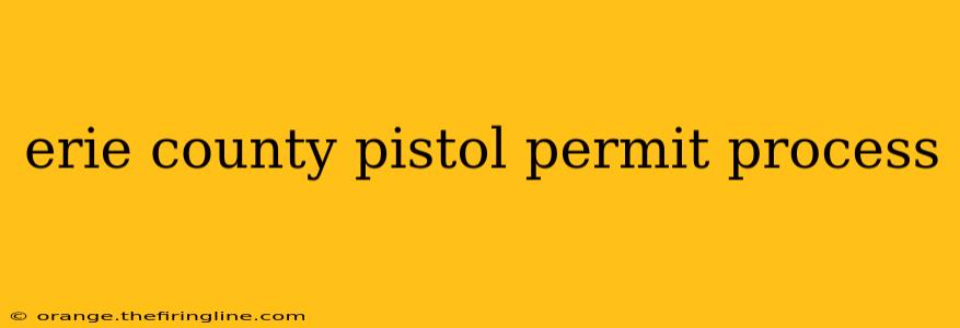 erie county pistol permit process