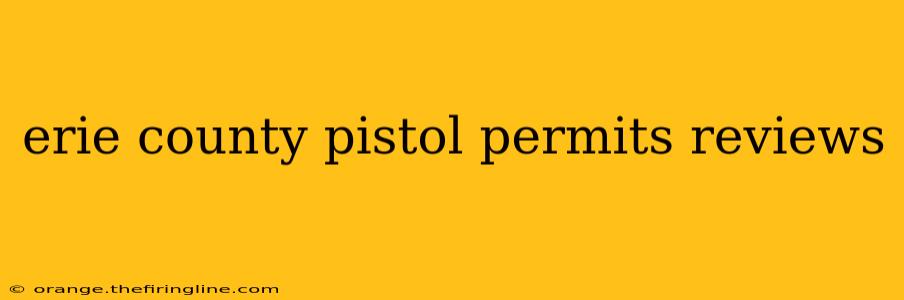 erie county pistol permits reviews