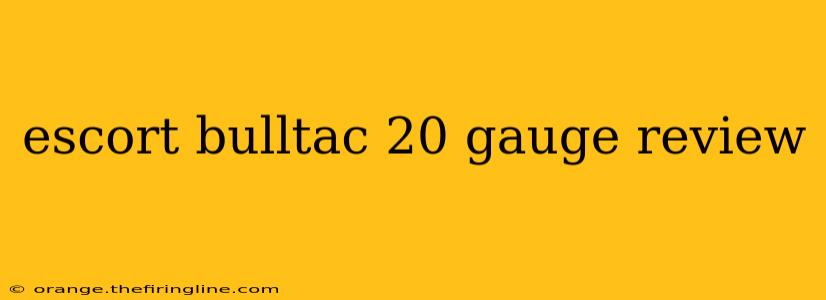 escort bulltac 20 gauge review