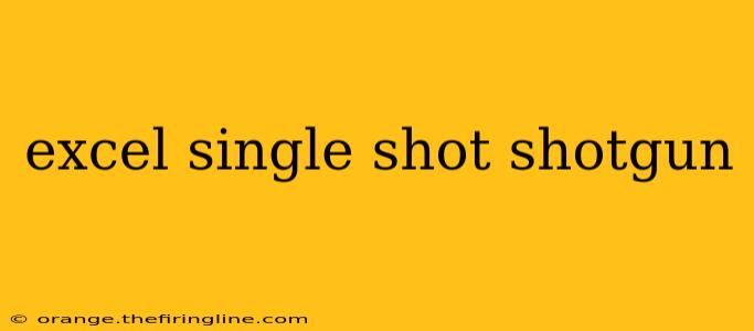 excel single shot shotgun