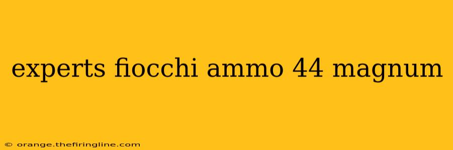 experts fiocchi ammo 44 magnum