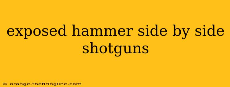 exposed hammer side by side shotguns