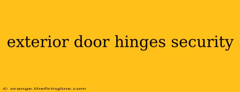 exterior door hinges security