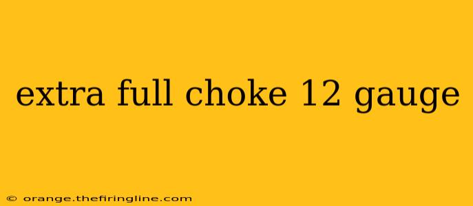 extra full choke 12 gauge