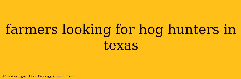 farmers looking for hog hunters in texas