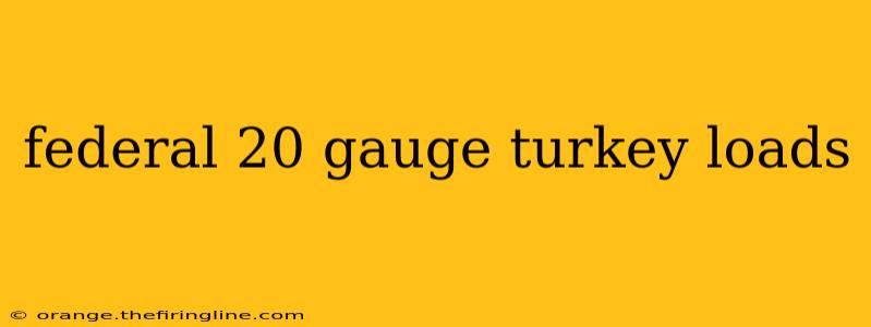 federal 20 gauge turkey loads