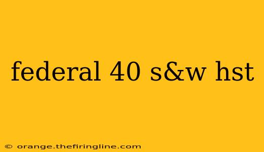 federal 40 s&w hst