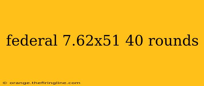 federal 7.62x51 40 rounds