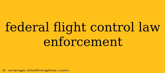 federal flight control law enforcement