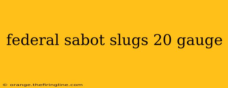 federal sabot slugs 20 gauge