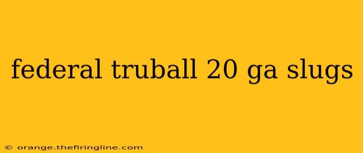 federal truball 20 ga slugs