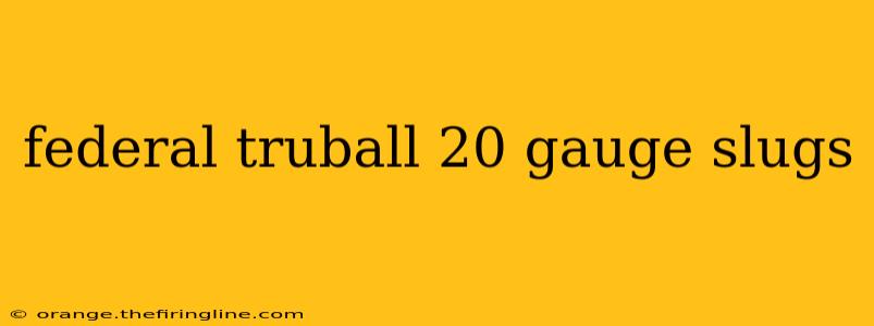 federal truball 20 gauge slugs