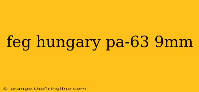 feg hungary pa-63 9mm