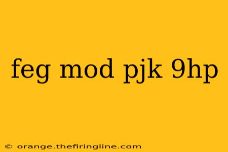 feg mod pjk 9hp