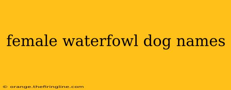 female waterfowl dog names