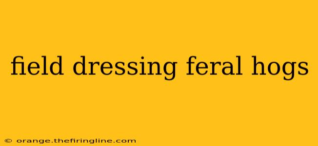 field dressing feral hogs