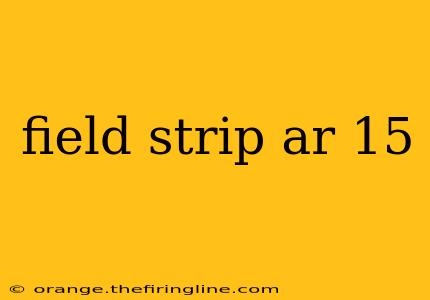 field strip ar 15