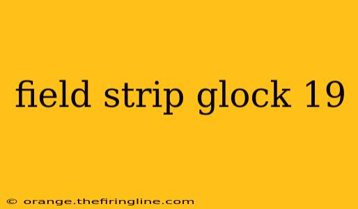 field strip glock 19