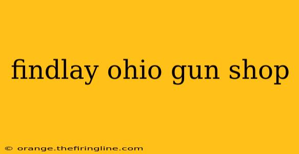 findlay ohio gun shop