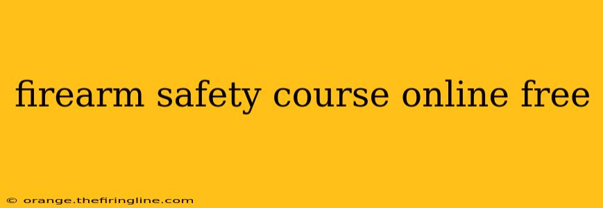 firearm safety course online free