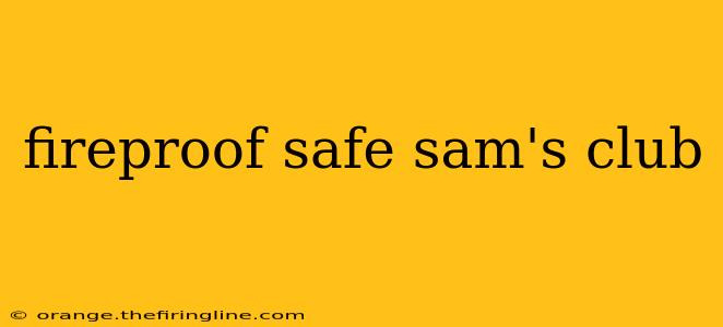 fireproof safe sam's club