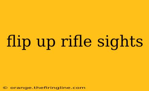 flip up rifle sights