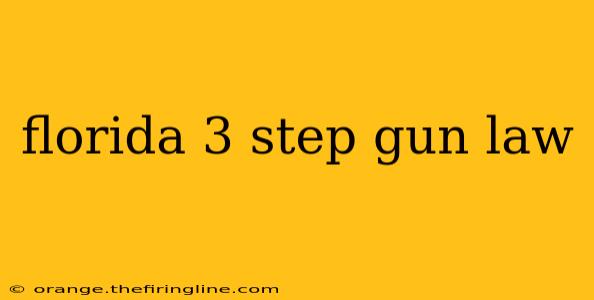 florida 3 step gun law