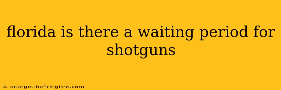 florida is there a waiting period for shotguns