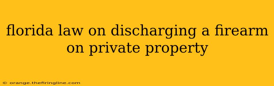 florida law on discharging a firearm on private property