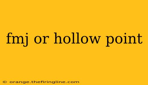 fmj or hollow point