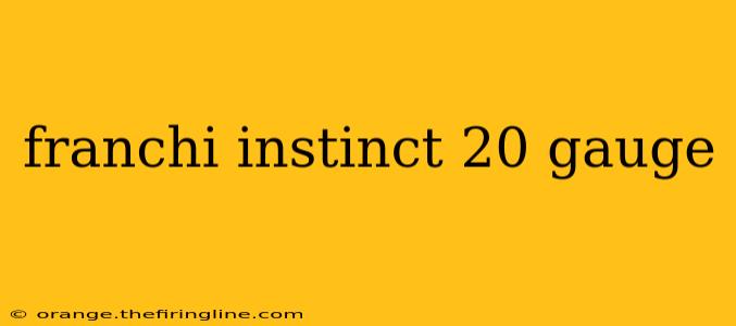 franchi instinct 20 gauge