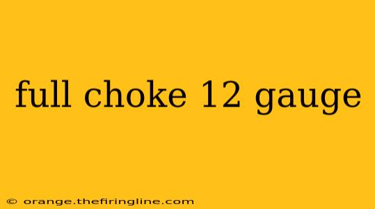 full choke 12 gauge