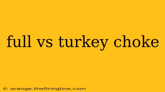 full vs turkey choke