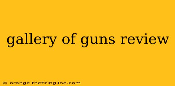 gallery of guns review