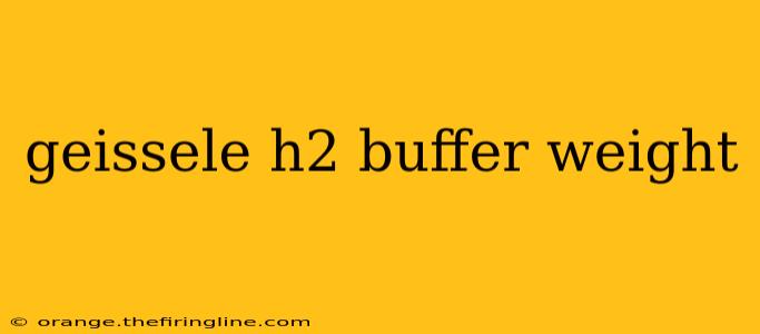 geissele h2 buffer weight