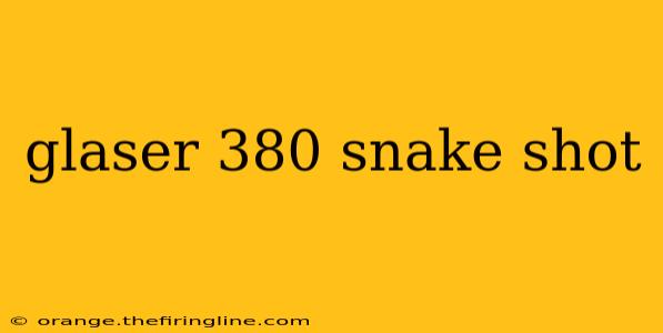 glaser 380 snake shot