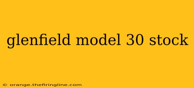 glenfield model 30 stock